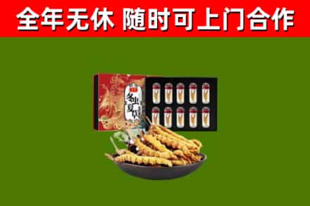 华安回收冬虫夏草价格